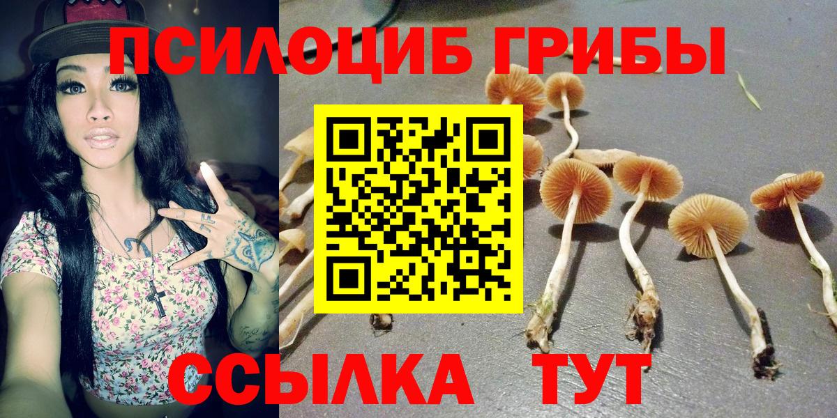 Псилоцибиновые грибы прущие грибы  Вход с VPN  Тула 